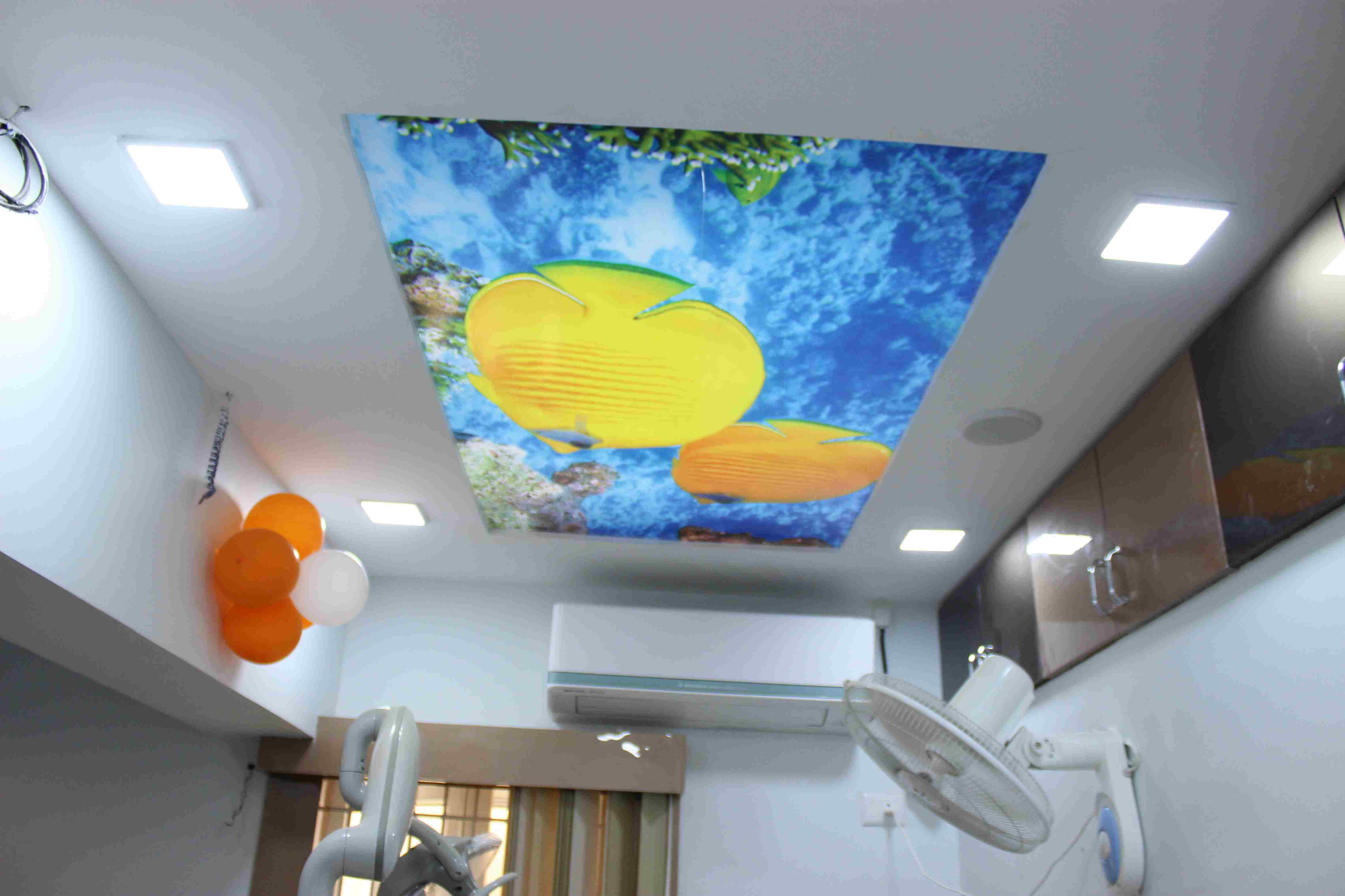 The Dental Foundation 2